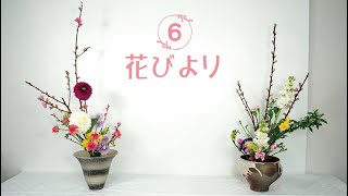 花びより6 #桃の節句