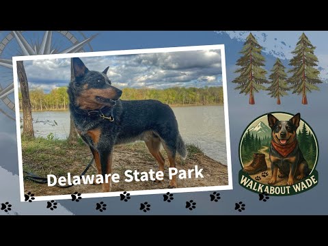 Weekend Camping trip to Delaware State Park