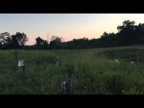 Mike Pride (solo) Listening Party MEGA