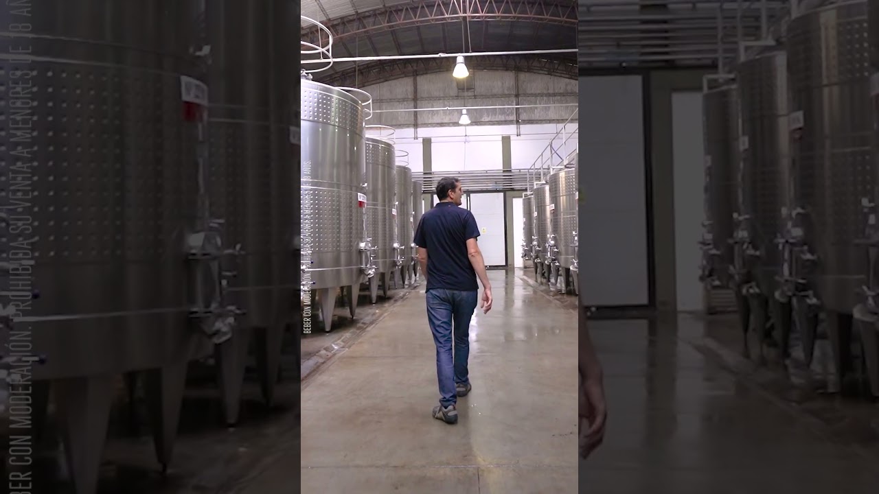 Bodega del Desierto, por Bodega del Desierto