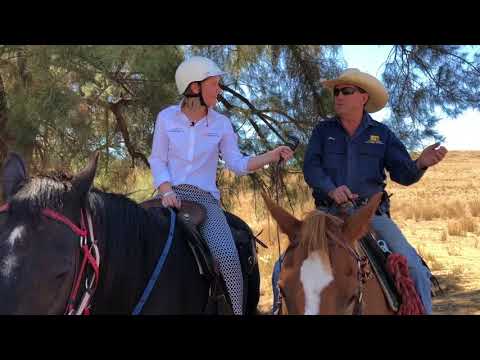 Tamworth and Kootingal Horse Riding Adventures