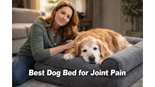 🐕 Soft Touch Orthopedic Dog Bed for Large Dogs with Faux Fur Top Review: Worth It? 🛏️