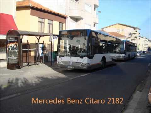 STCP - Linha 800 - Veículos Mercedes Benz Citaro 2182 e 2183 (Romaria do Rosário, 2011)