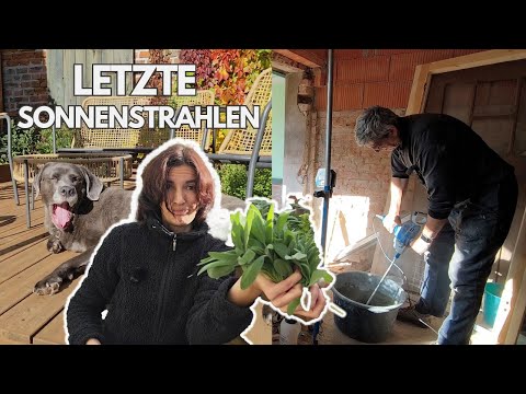 Gartenarbeit vor dem Winter | Schwelle betonieren | Bauernhof Tiere versorgen