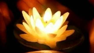 Laura Närhi (2010): Salaa yksinäinen nainen +Lyrics