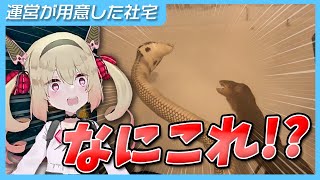 運営の社宅に置いてあるものが謎すぎる【息根とめる 切り抜き】