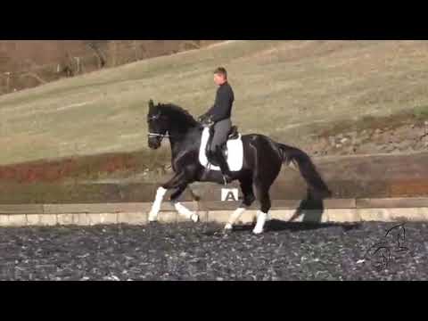 Wallach von Don Index