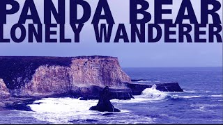 Panda Bear -  Lonely Wanderer (Music Video)
