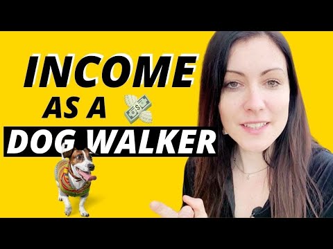 How much money can you make as a dog walker