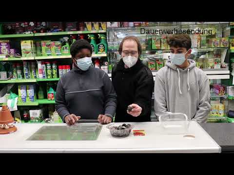 YouTube video