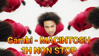 (1H SANS INTRO) Gambi - MACINTOSH