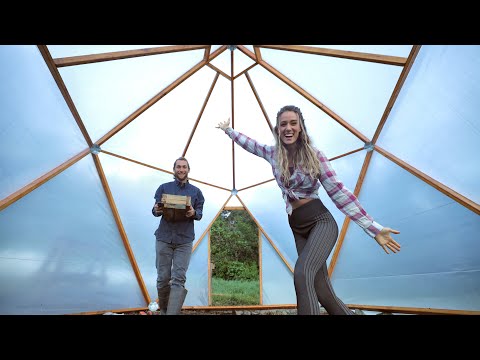 Our GEODESIC DOME is COMPLETE! // diy green house