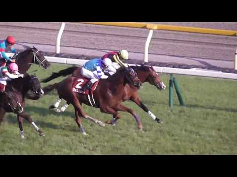 2017 第131回 目黒記念(ＧＩＩ) ウィニングラン 現地映像 フェイムゲーム