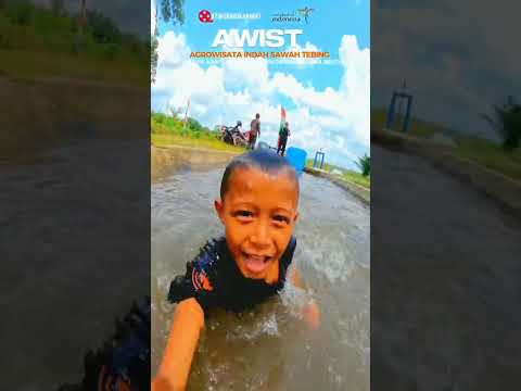 AGROWISATA SAWAH TEBING AWIST #ayokebangkabarat #pariwisataindonesia #wisataindonesia
