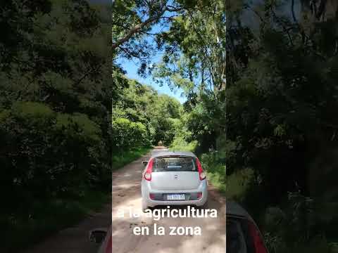 Tezanos Pinto. Dto. Sauce. Paraná Campaña. E. Ríos. Entrando del norte. 4