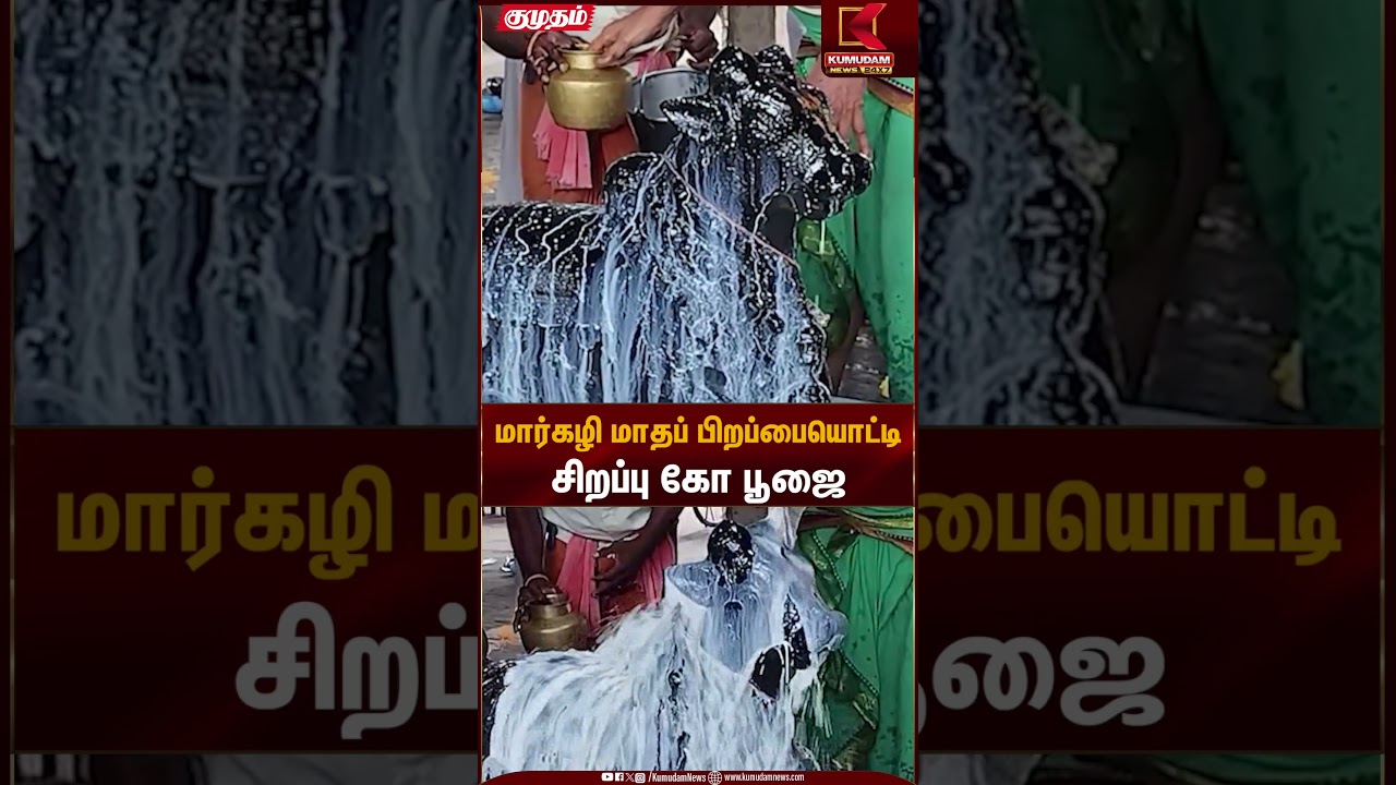 மார்கழி மாதப் பிறப்பையொட்டி சிறப்பு கோ பூஜை | Kumudam News