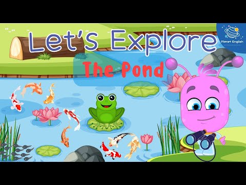 Let's Explore The Pond for Kindergarten | EYFS