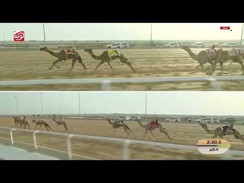 ش 7 (العزوم) لـ سعد حمد فهيد الفهيده المري 5:56:20 , مهرجان ختامي الشحانية 2026/04/20 حقايق