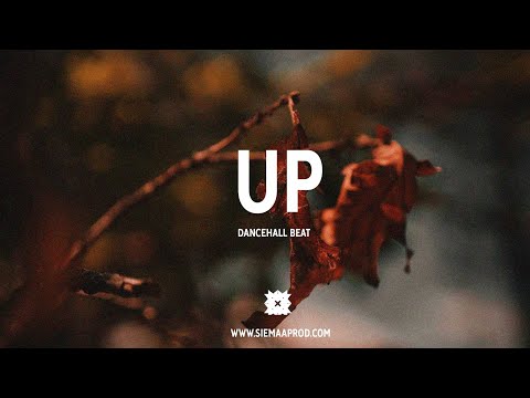 [FREE] Dancehall riddim instrumental 2019 - "Up"