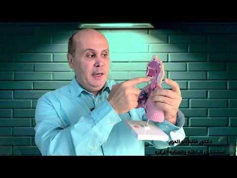 علامات الاصابه بفيروس كورونا