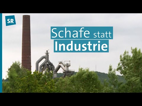 Naturschutz & Renaturierung im Saarland: Landschaft der Industriekultur Nord (LIK Nord) | Saar Natur