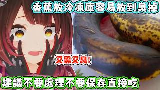 冰箱的香蕉變黑還可以吃，那麼變得又黑又臭的香蕉還可以吃嗎？蘿蔔子：我嫌麻煩，所以都直接吃掉。【蘿蔔子/ロボ子/ROBOCO】【HOLOLIVE中文】