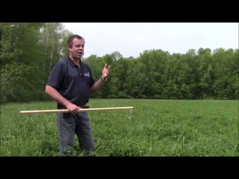 Using the Alfalfa PEAQ Stick