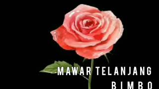 Download lagu BIMBO - MAWAR TELANJANG - lirik mp3 Download lagu BIMBO - MAWAR TELANJANG - lirik mp3