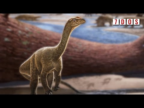The Oldest Dinosaur Ever Discovered in Africa | 7 Days of ...