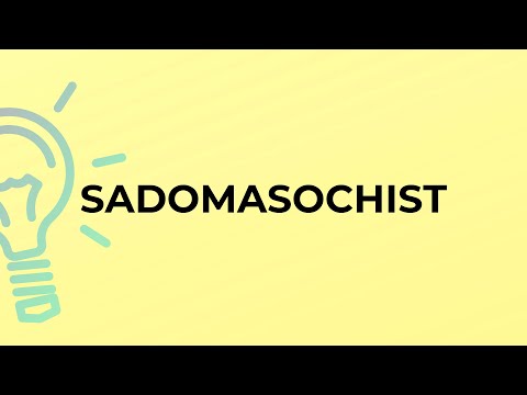 What is the meaning of the word SADOMASOCHIST?