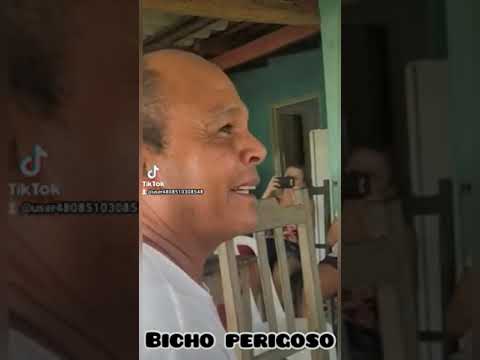 o bicho que mata o homem mora embaixo da saia