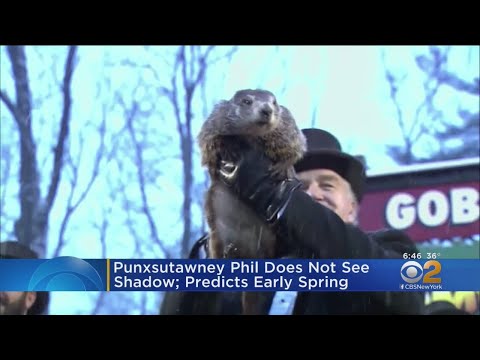 Phil, Chuck Don't See Their Shadow