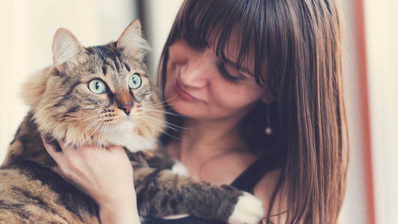 Virtue Ethics | Application | Contemporary Problems