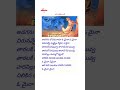 Jilibili Palukula Lyrical Song Sitara Suman Bhanu Priya Vamsi Ilayaraja