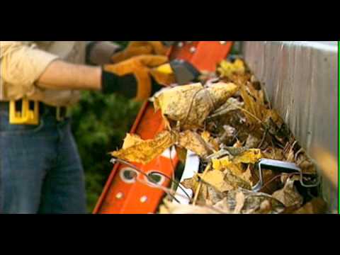 Vidéo YouTube - wT8PvUlTyUo