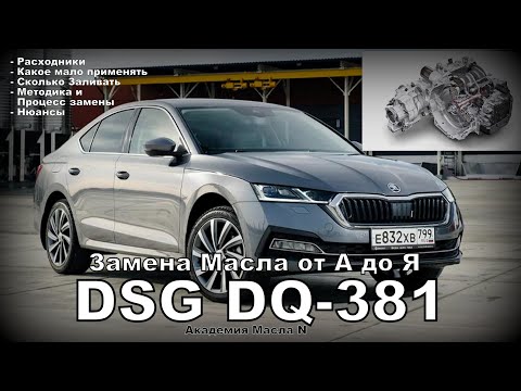 Skoda: DSG DQ-381 Oil Change from A to Z. 😉👍 (2025)