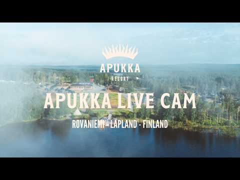 Northern Lights - Apukka Resort