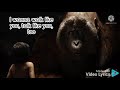 I Wanna Be Like You Song Lyrics The Jungle Book Live Action