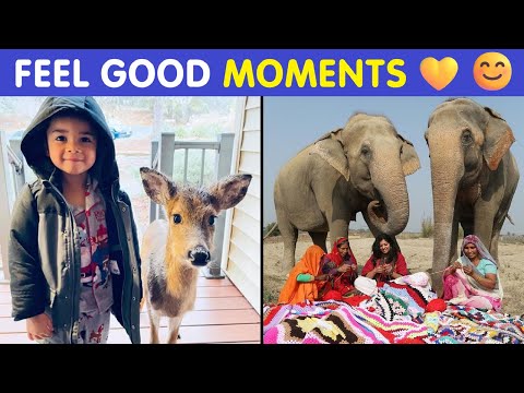 Wholesome Pics That Will Instantly Lift Your Mood 😊 Feel Good Moments!