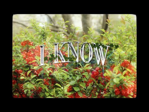 ka$hdami - i know [prod. lil tecca] dir. by @1karlwithak (official music video)