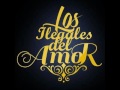 Los Ilegales Del Amor - Mix Alacran - Chacuncha - Una Noche Guarani
