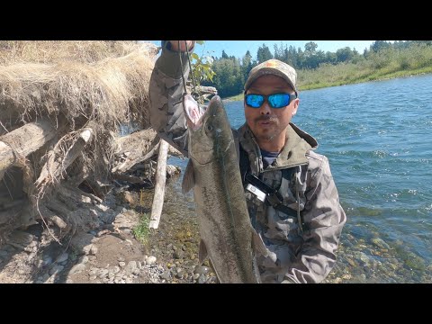 PNW  Summer Steelhead Fishing #6