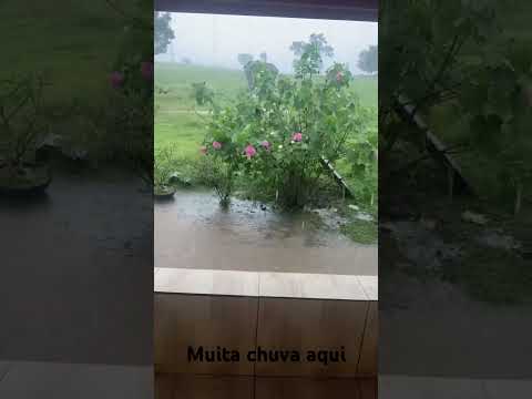 Muita chuva Jauru Mato Grosso 17/04/2026