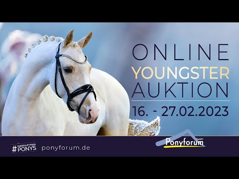 Bienvenue Nuni Hmv Wallach 2020 v. Pav Blomquist / Night-Cup