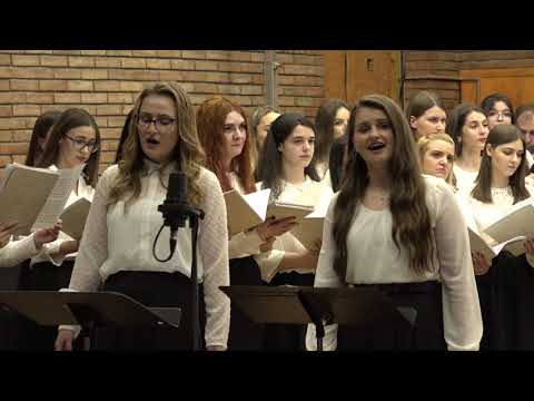 Corul Ave Musica - Song of santuary