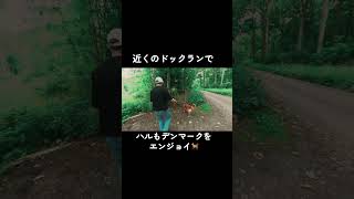 ドイツから愛犬とデンマークへ車旅！🇩🇰ついに北欧編スタート✨ #shorts