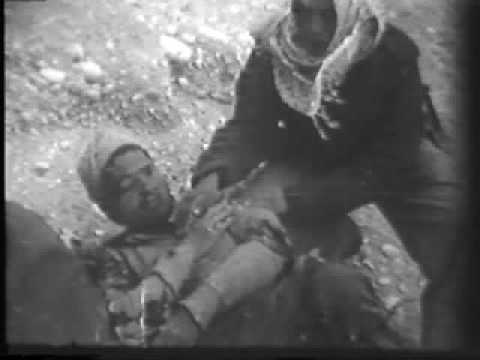 IAF Israeli Air Force 1948FE