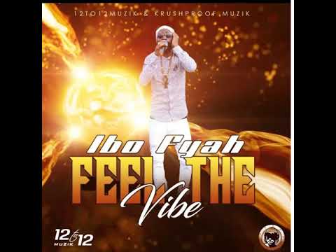 IBO FYAH - Feel The Vibe [Official Audio 2019