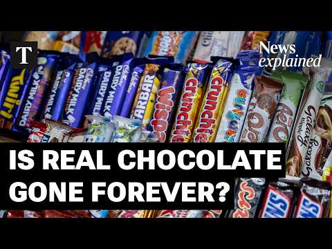 Why Is Chocolate So Expensive? The Global Cocoa Crisis ...