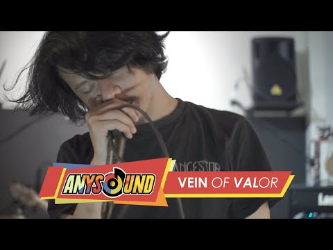 ANYSOUND SPECIAL VOLUME.21 WITH VEIN OF VALOR